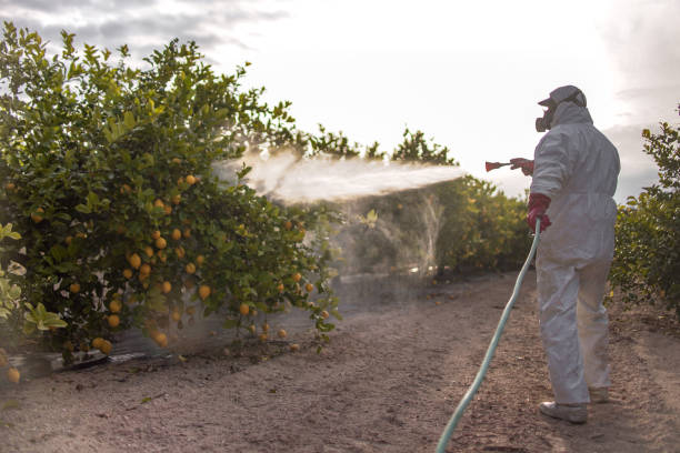 Best Wasp Removal Services  in Vermilion, OH