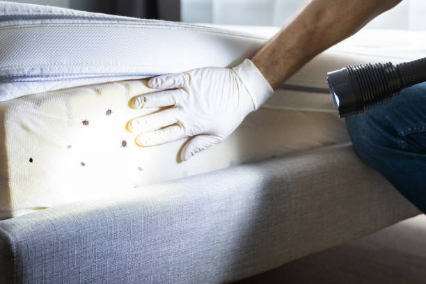 Best Affordable Pest Control Services  in Vermilion, OH