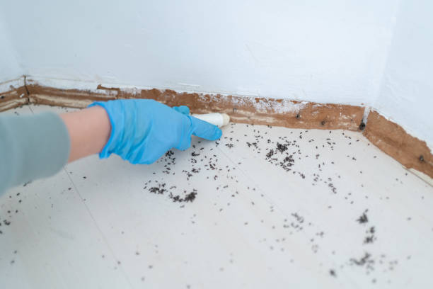 Reliable Vermilion, OH Pest Control Solutions