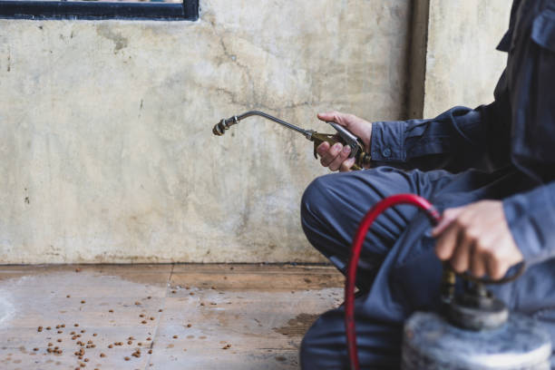 Best Exterminator Services  in Vermilion, OH